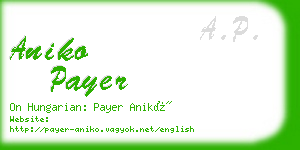 aniko payer business card